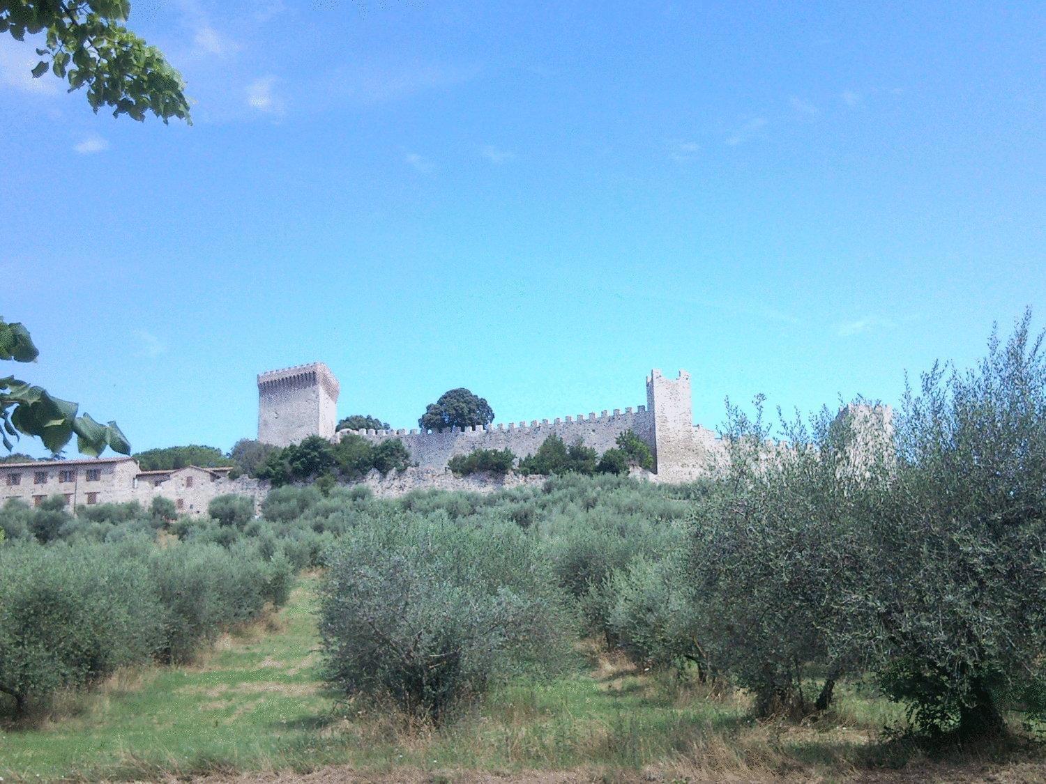 Hotel Trasimeno Bittarelli Castiglione del Lago Exteriör bild